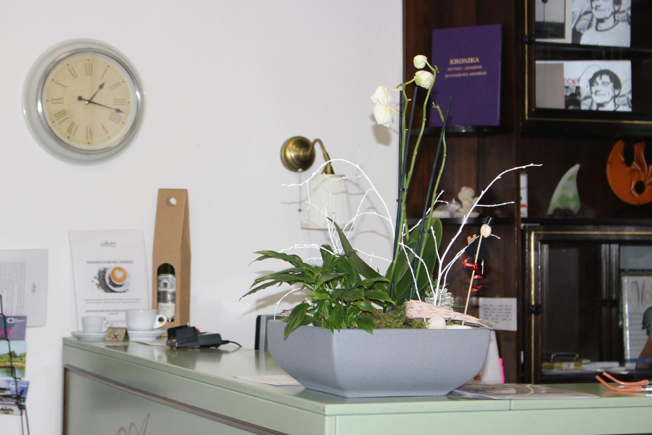 Hotel Amadeus Ceske Budejovice Bagian luar foto