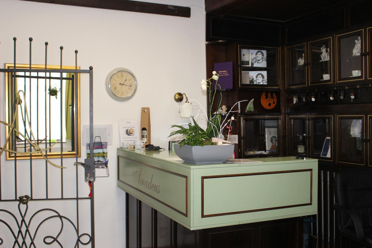Hotel Amadeus Ceske Budejovice Bagian luar foto